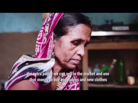 FAO celebrating 40 years of Country Representations in Asia and the Pac…