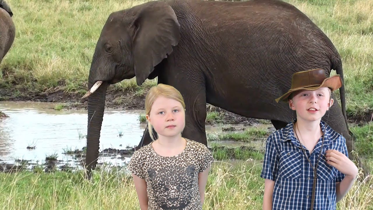 Pupil Parliament Video of the Month, March ’18: Hellifield Primary Scho…