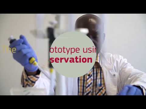 EIC Prize: Early Warning for Epidemics