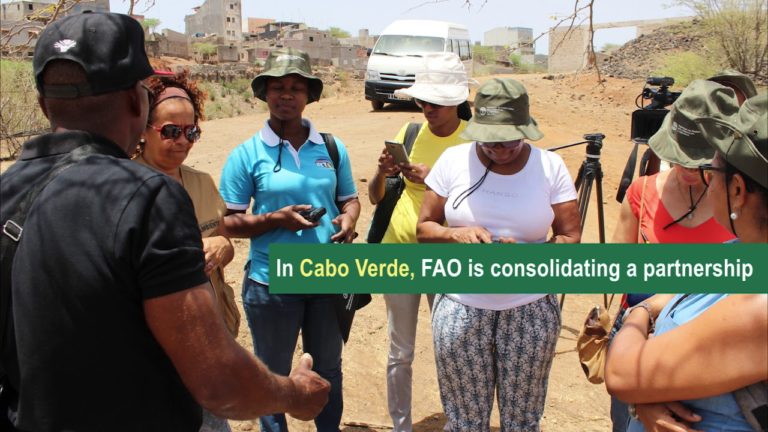 Network of Journalists for Environment, a partner for SDGs achievement …