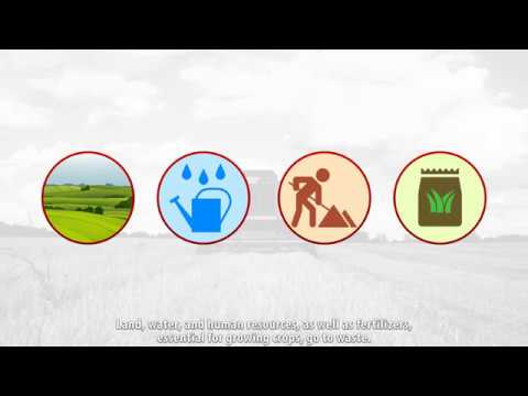 FAO in Moscow works to raise awareness on importance of reducing food l…