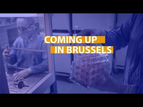 Coming up in Brussels: from migrant children to Europe’s future