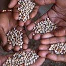 10-A-Decade-of-Progress-in-Disaster-Risk-Management_digital