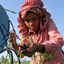Better Life Farming – Unlocking the Potential of Smallholder Farmers to Reach Sustainable Development Goals