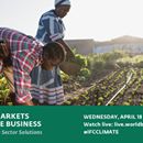Creating Markets for Climate Business: Mobilizing Private Sector Solutions