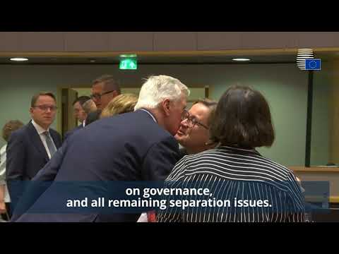 General Affairs Council (Art. 50) Highlights