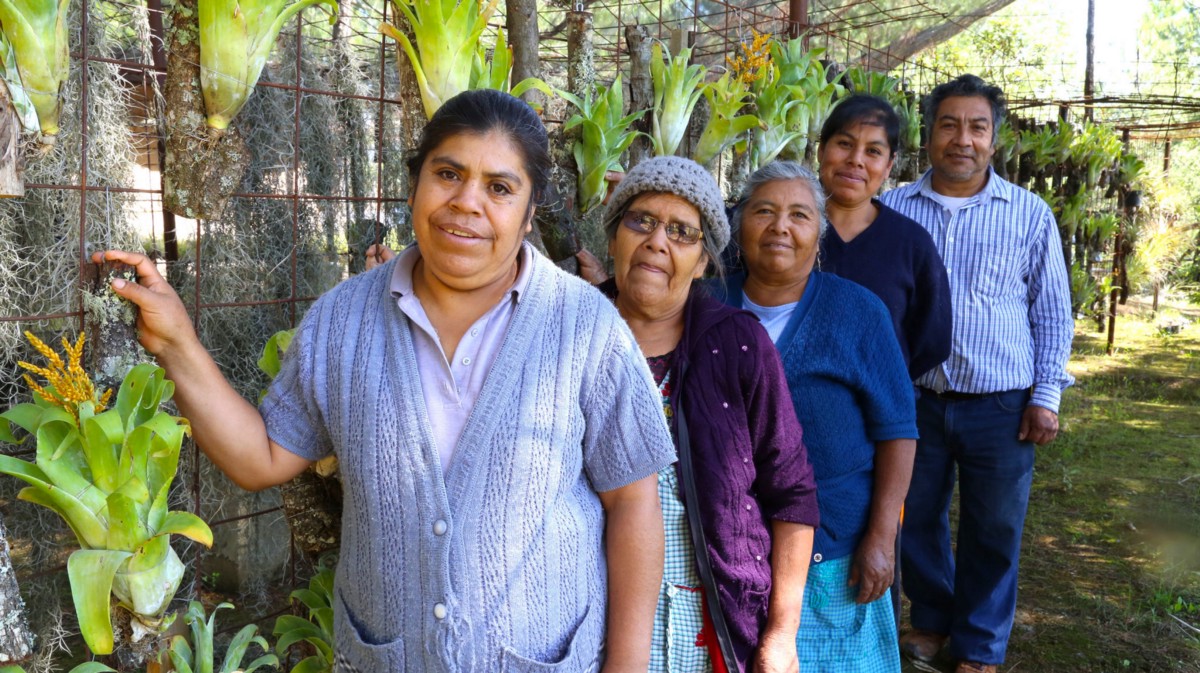 A Growing burden for women of the ‘Sandwich Generation’