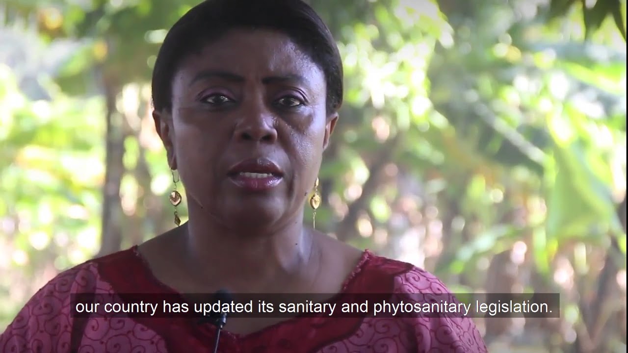 Improving phytosanitary systems to boost safe trade and market access