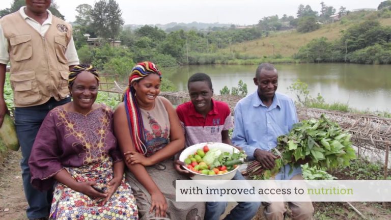 Improving urban food security in Central Africa