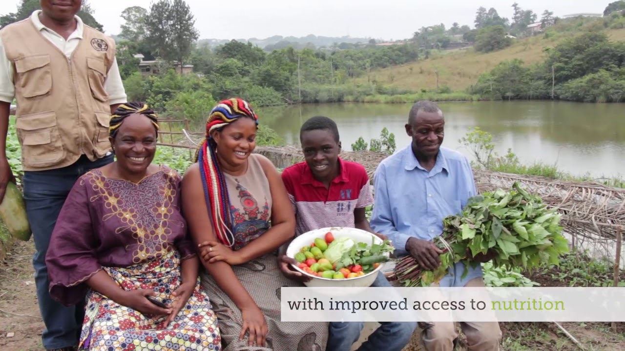 Improving urban food security in Central Africa