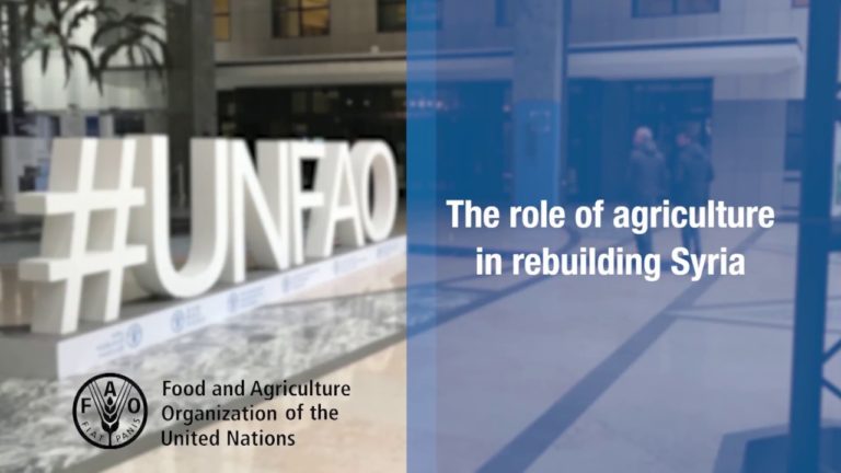 The crucial role of agriculture in rebuilding Syria