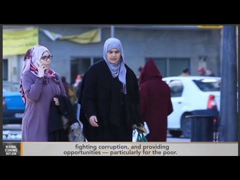 May 2018 IMF Regional Economic Outlook for MENAP