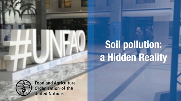 Sustained efforts are needed to combat soil pollution