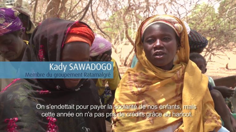 Mainstreaming food loss reduction solutions for smallholder farmers (sh…