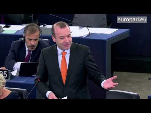 Discover EU by train