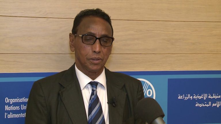 Remarks by Ali Hamud Hassan