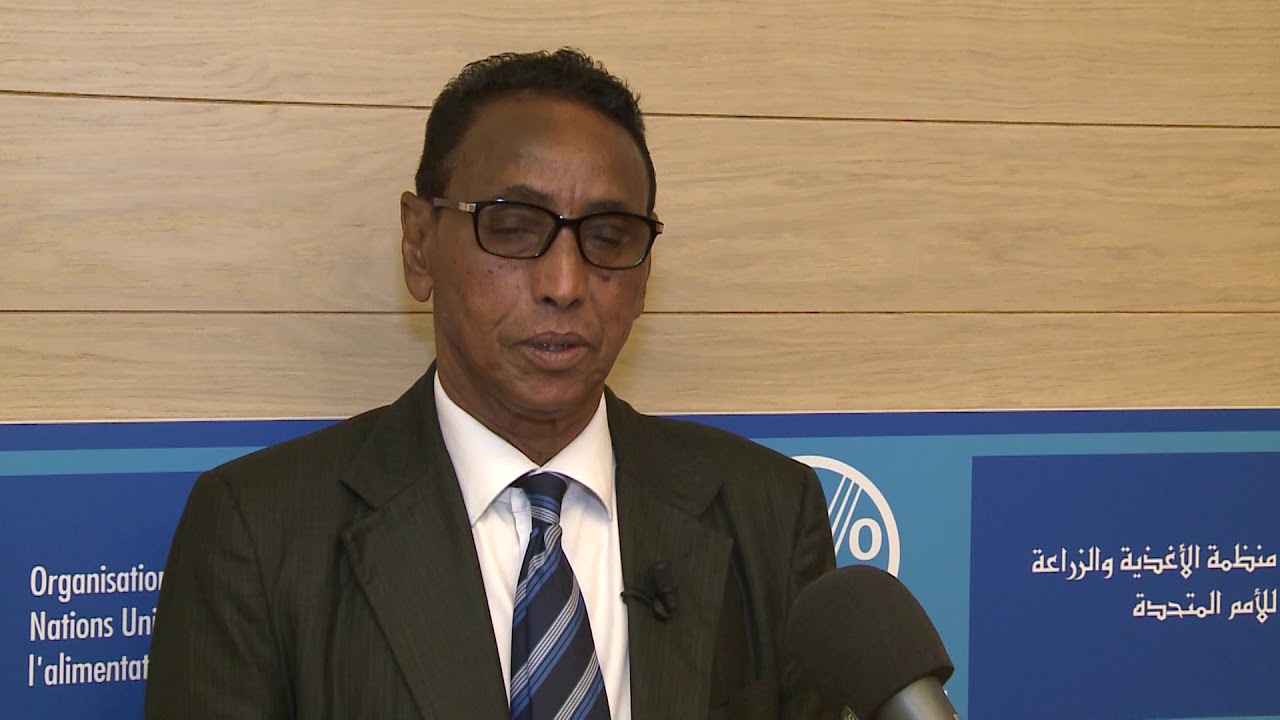 Remarks by Ali Hamud Hassan