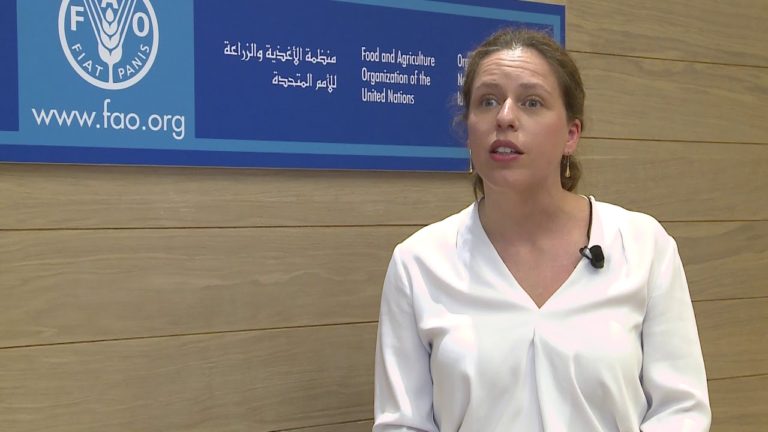 Remarks by Carola Schouten