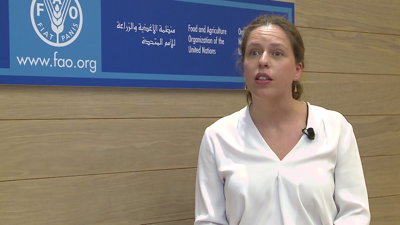 Remarks by Carola Schouten