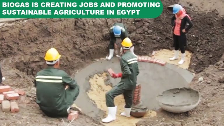How biogas is creating jobs and promoting sustainable agriculture in E…