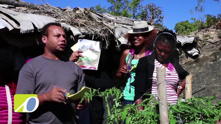 FAO 40 YEARS ANNIVERSARY