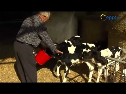 Update the CAP to keep farming strong