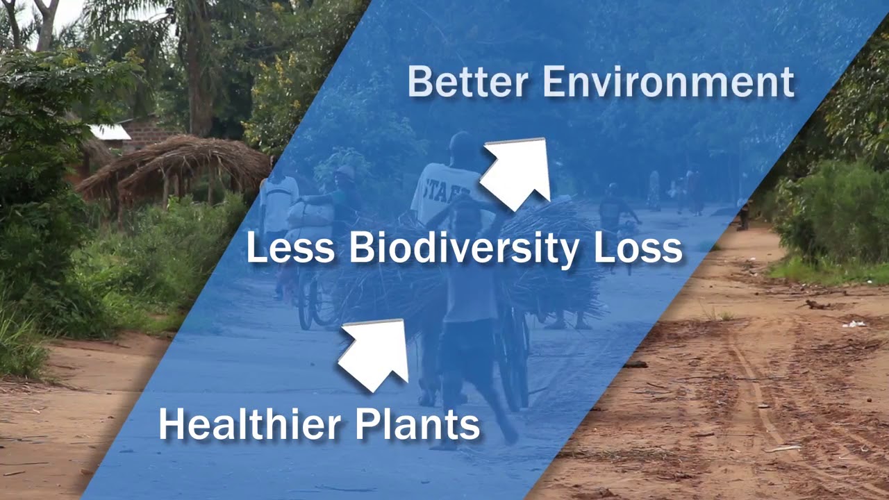 IYPH 2020 Promotional Video