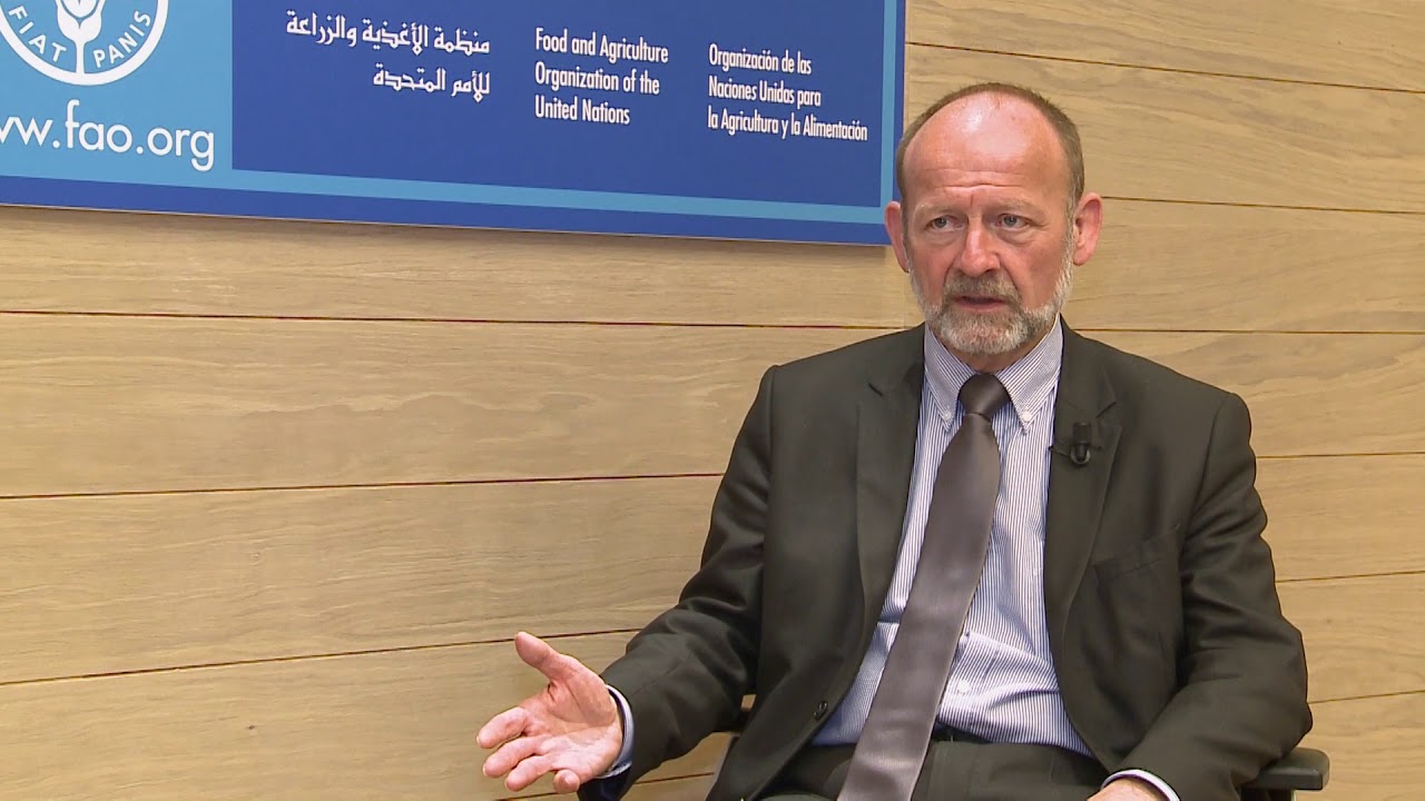 Remarks by Dominique de Buman