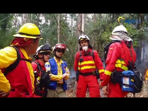 Environment Committee backs stronger EU disaster relief