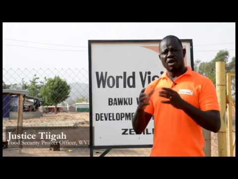 World Vision