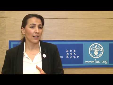 Mariam bint Mohammed Saeed Hareb Al Mehairi