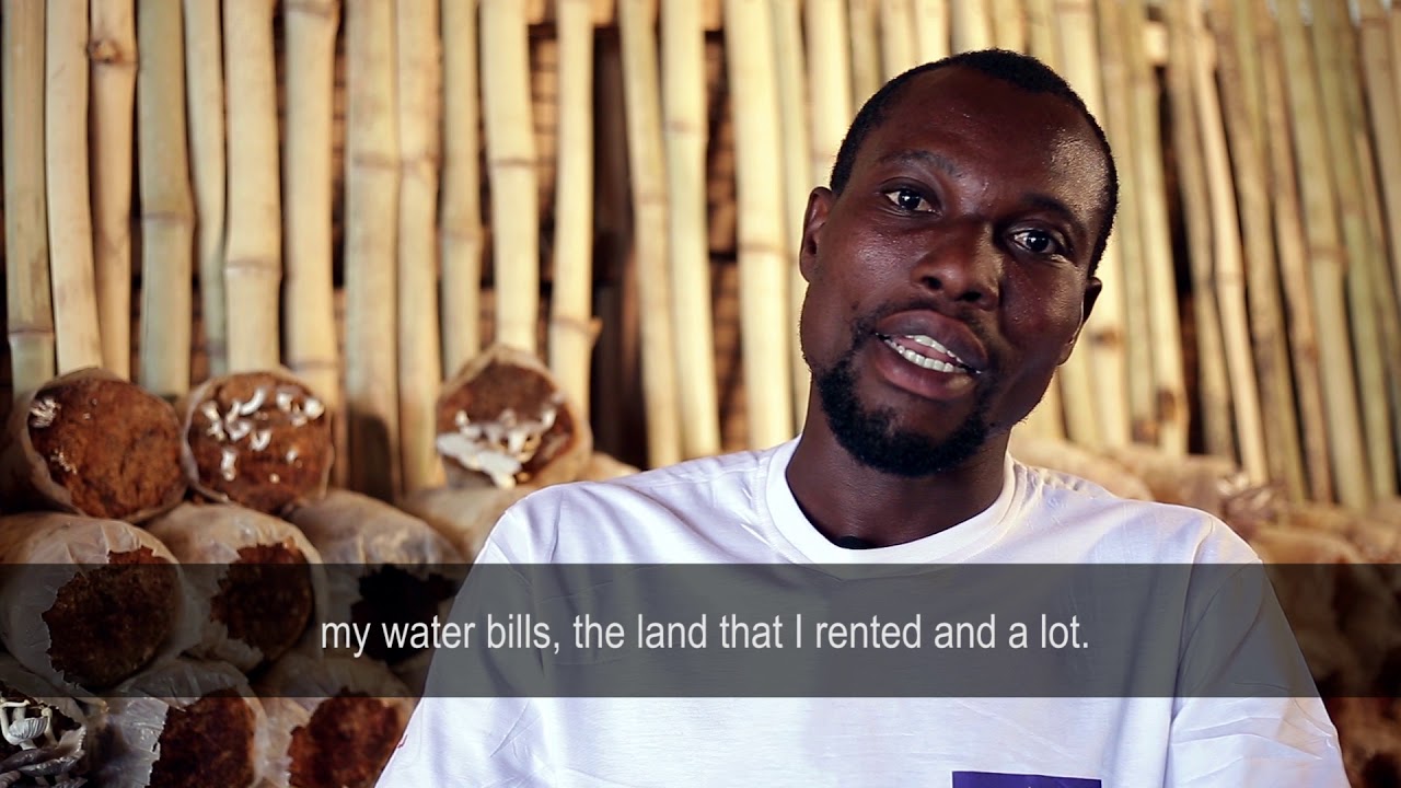 Paul’s Story – Changing Lives with Mushrooms