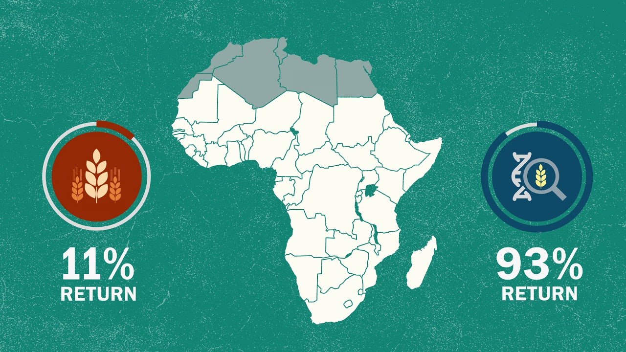 A Common Sense U.S. Budget for Global Food Security