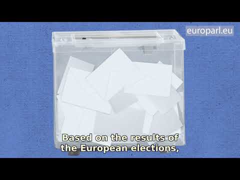 European elections: the Lead candidate process