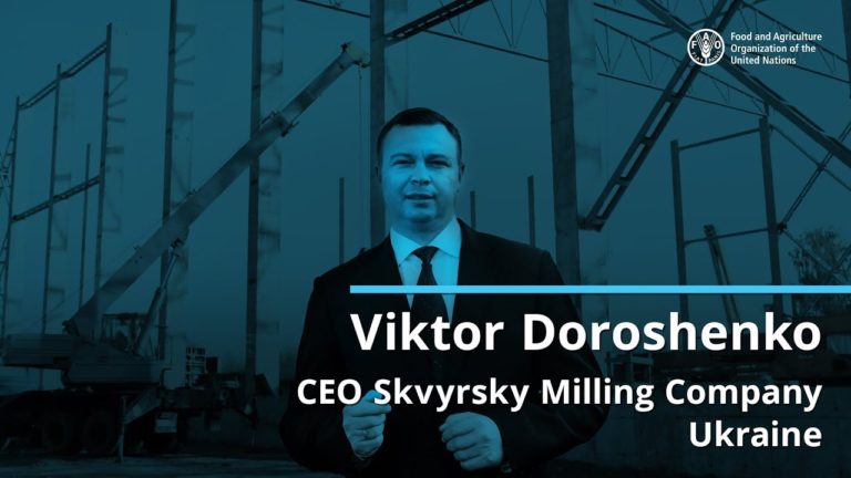 Reviving Ukraine’s Breadbasket.  Investing in grain policies, farmers a…