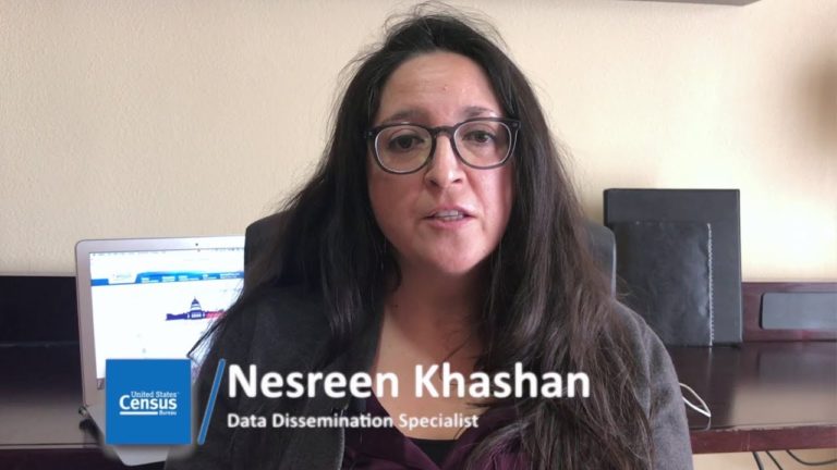 DATA GEMS: How to Access Voting and Registration Statistics