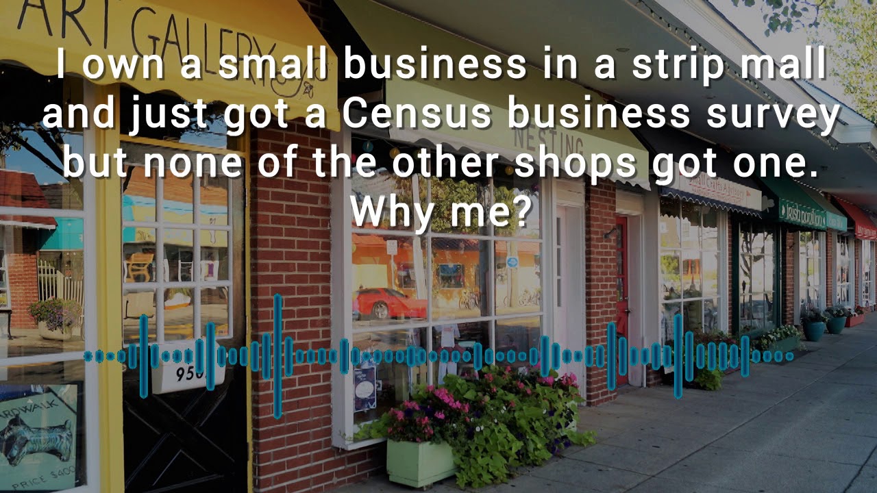 Who Knew? Not All Business Owners Get a Survey