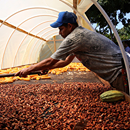 The Future of Food: Maximizing Finance for Development in Agricultural Value Chains