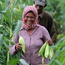 IDA17 Retrospective – Maximizing Development Impact