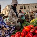 Three years in a row: Mauritania continues to excel in its Doing Business performance