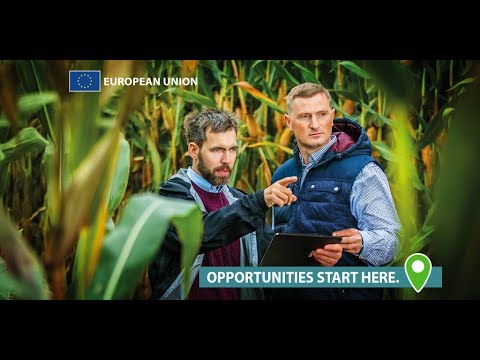 EU-funded project: satellite data for farming