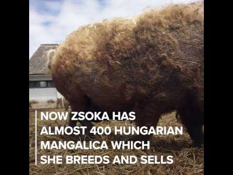 EU-funded project: female entrepreneurship