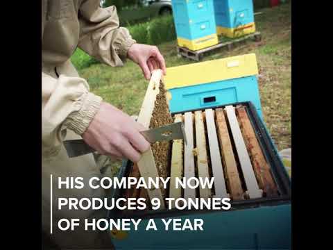 EU-funded project: beekeeping family business