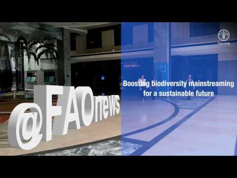 Biodiversity Mainstreaming Across Agricultural Sectors