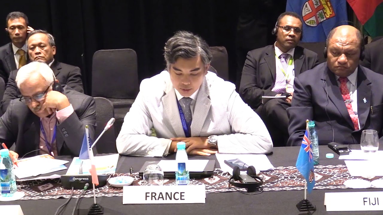 France Country Statement, FAO APRC 34, 2018