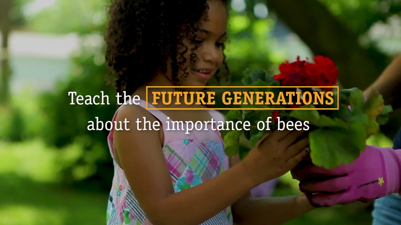 Imagine a world without bees…