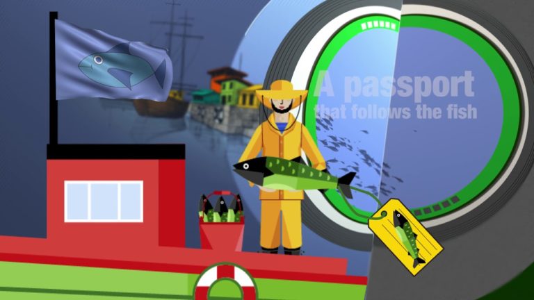 Illegal, Unreported and Unregulated (IUU) Fishing