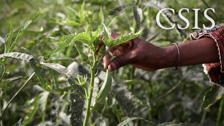 The Global Food Security Act & the Evolution of Feed the Future