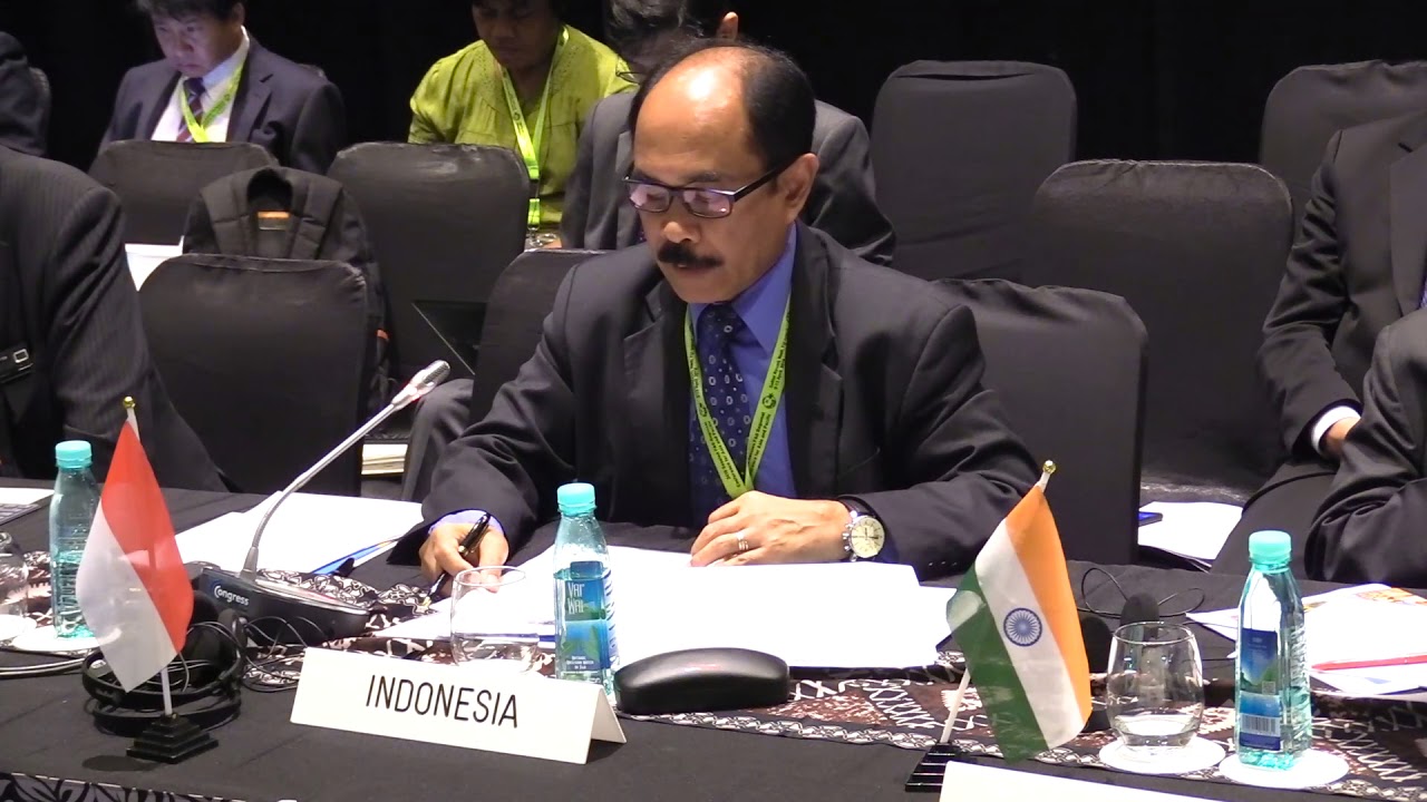 Indonesia Country Statement, FAO APRC 34, 2018