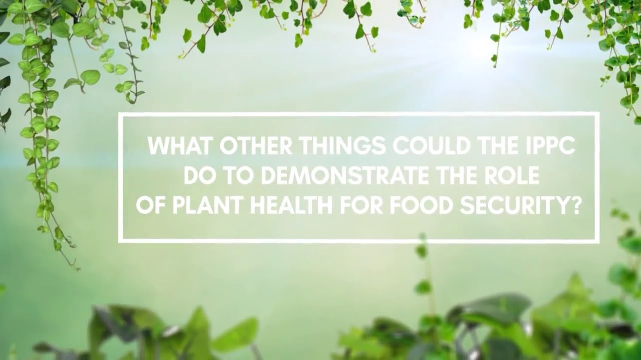 Michael Michener, CropLife International, at CFS-43